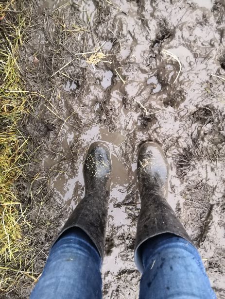 Wellington boots in mud