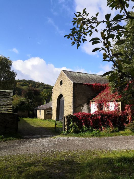 Red Virginia creeper covering wall of Goytside Farmyard