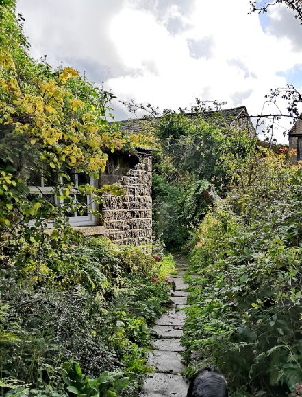 Stone flagstone path leading through greenery to Goytside farmyard