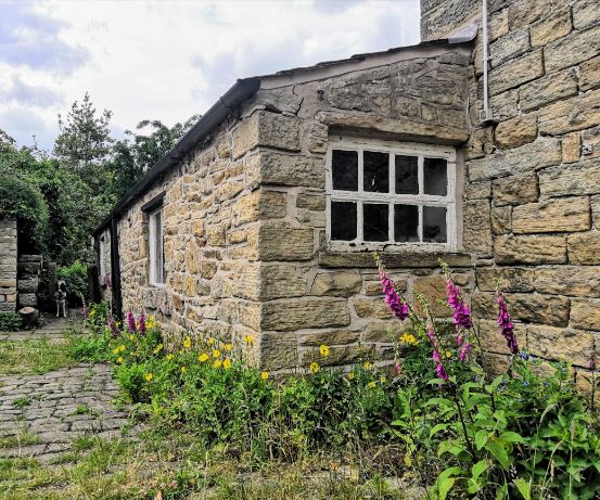 Foxgloves and Welsh poppies in Goytside cobbled farmyard