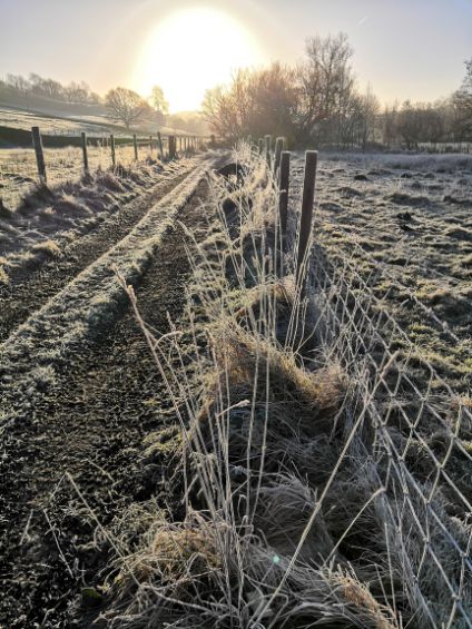 Frosty footpath at Goytside leading toward rising sun