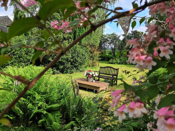 Garden bench and table on Goytside front lawn viewed through beauty blossom tree