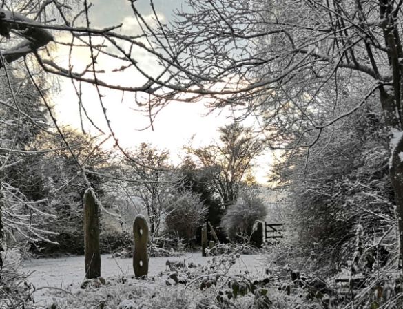 Frosty Goytside front garden at dawn