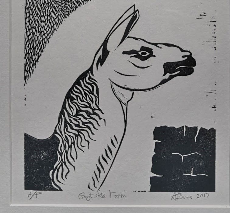 Black and white lino cut image of Goytside llama by the artist Arthur Burns